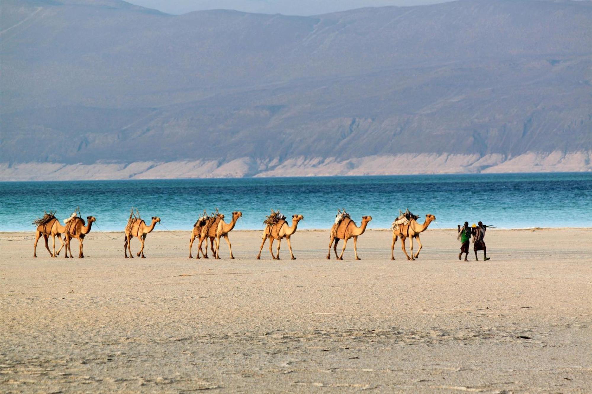 Djibouti Palace Kempinski Djibouti City Zewnętrze zdjęcie